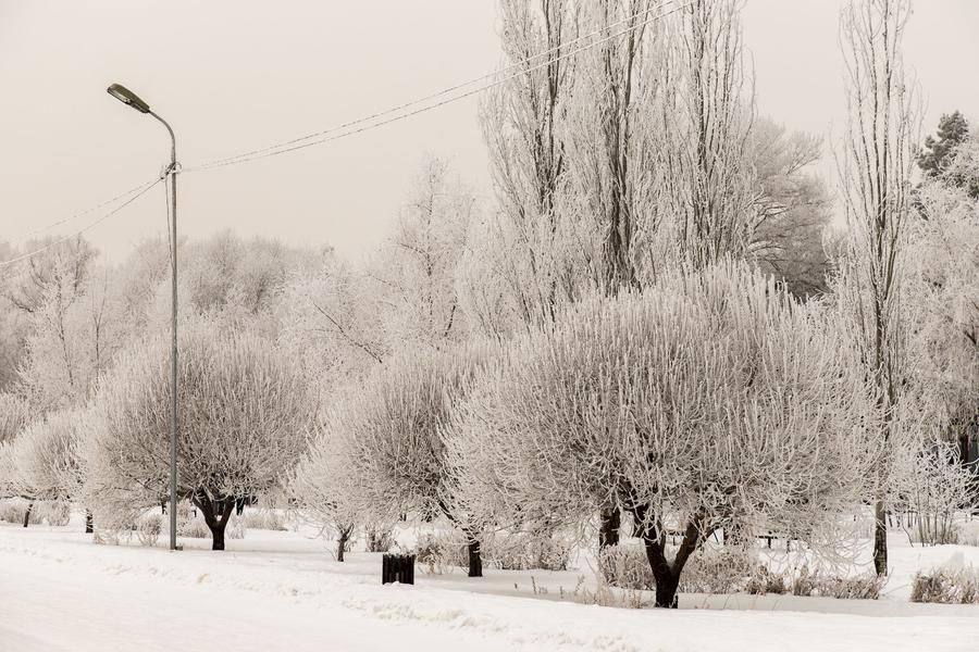 On the first day of winter, the Green Island Park captivates with its Siberian scenery