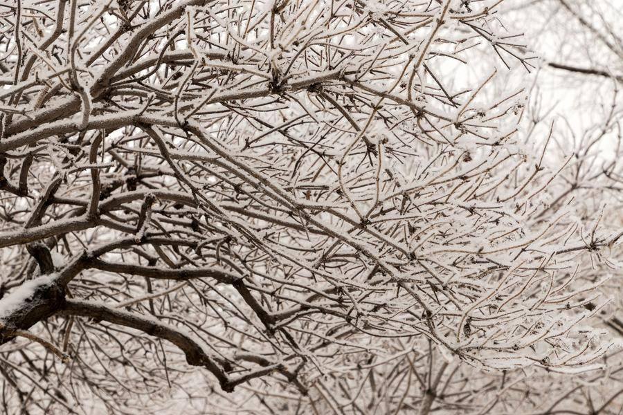 The temperature around −10°C is perfect for contemplative walks