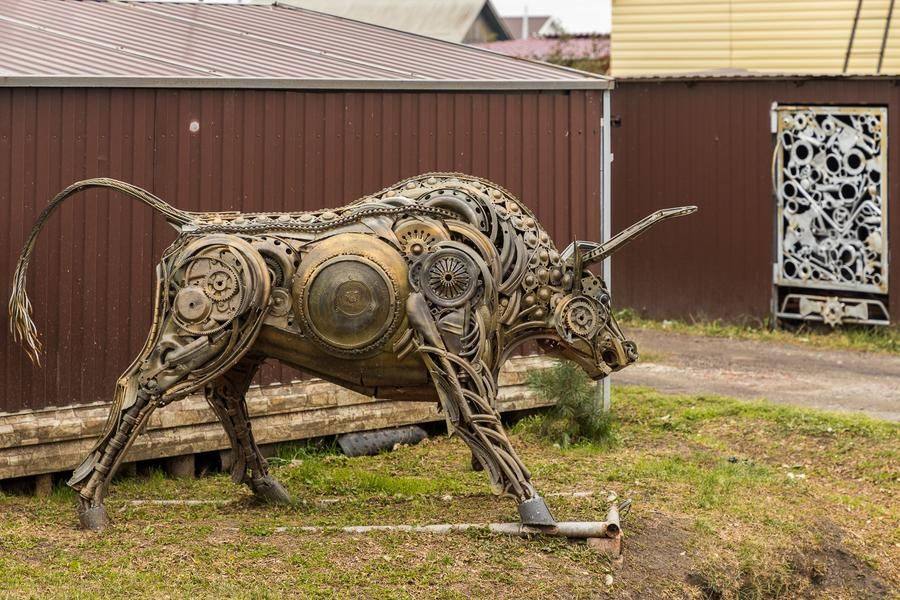 The rugged bull looks like an overseas buffalo, but his spirit is purely local!