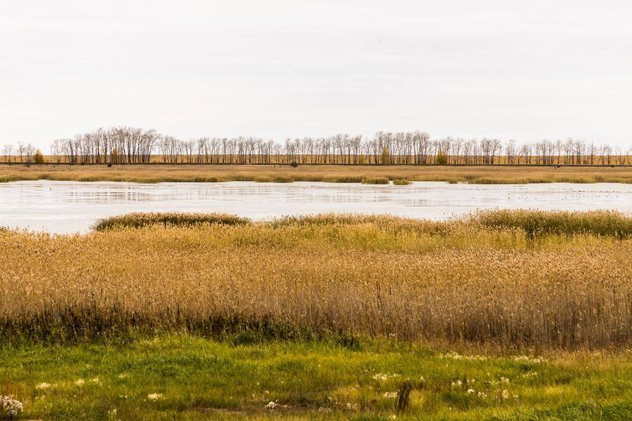 The lake must be beautiful in spring, but the autumn landscape has its own charm
