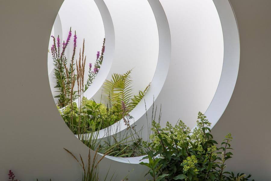 The transition is visualized through the strictness of the form and the elegance of the plants