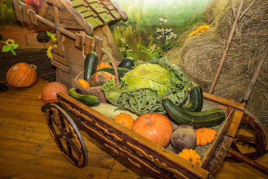 Grand cabbage and other gifts of nature fill a cart styled to look like an old‑time wagon