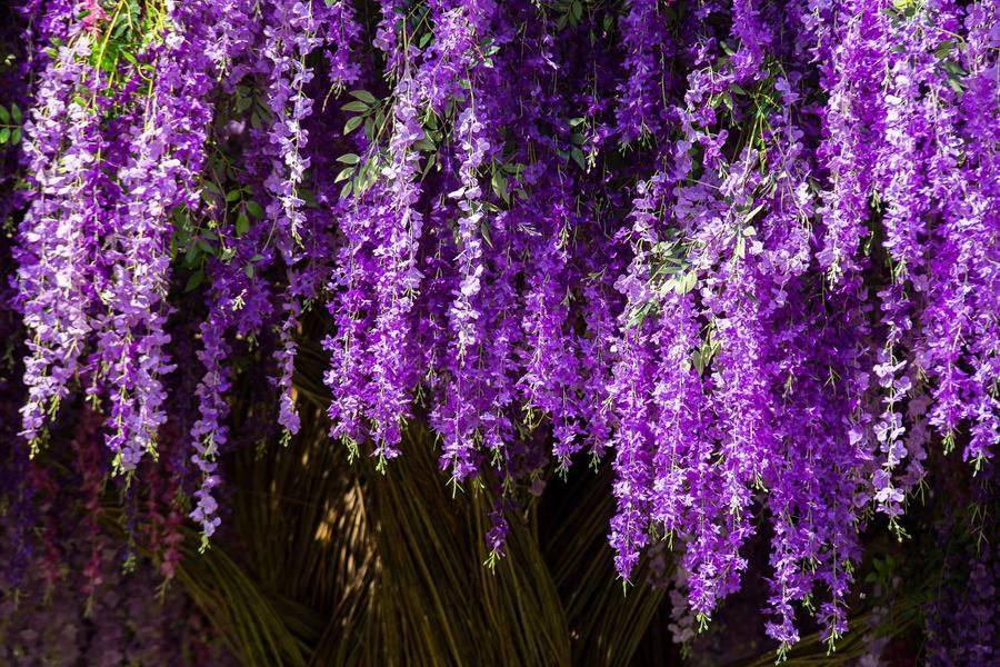 The crown’s diameter is 6 meters; it combines live and artificial flowers