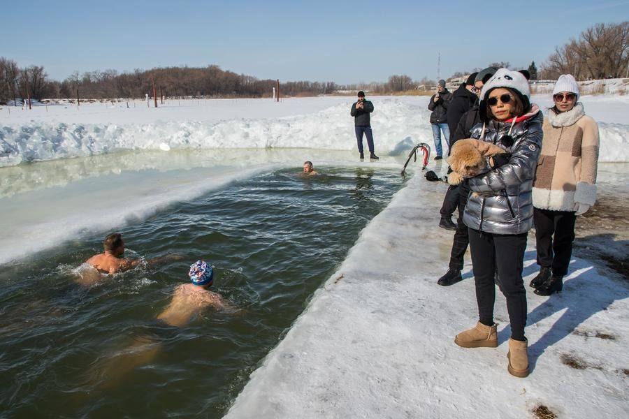 Numerous park visitors have come to watch the swims