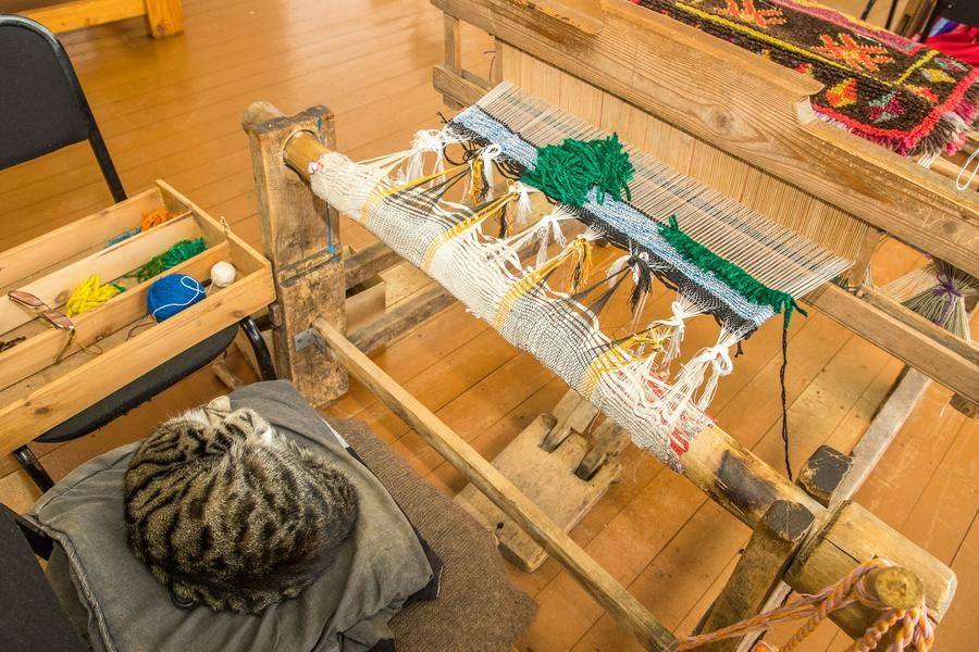 The cat, a favourite of all the Cultural Center staff, “stands guard” at the spot of the senior weaver