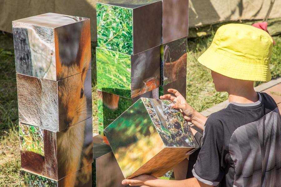 At another, they can assemble a themed puzzle featuring the inhabitants of the Gerbert Genze Arboretum