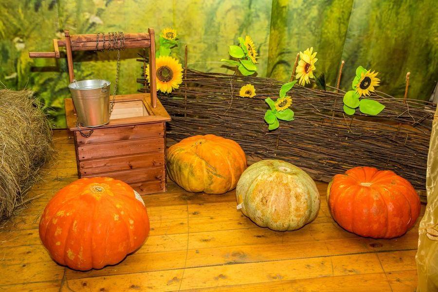 These are the giant pumpkins entered by locals in the “Queen of the Garden” contest