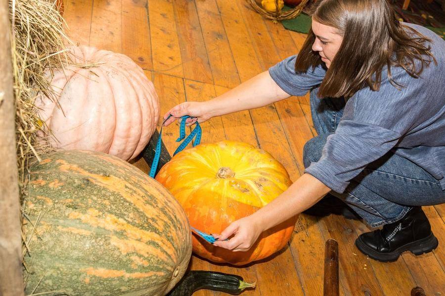 Only a final measurement stands between the lucky gardeners and their diploma