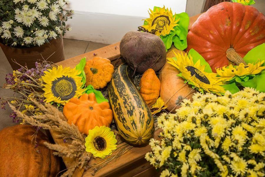 Generous‑hearted people managed to grow a bountiful harvest and show it to the world