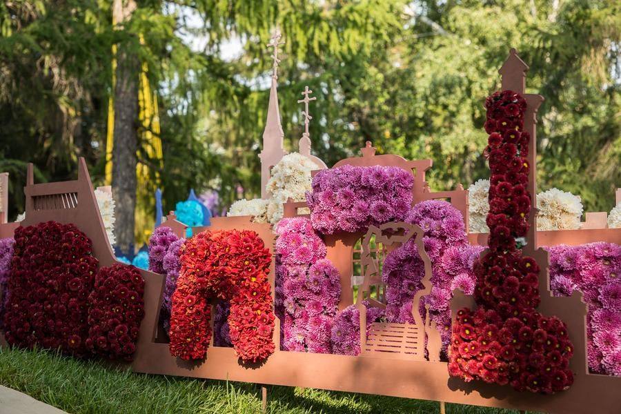 The silhouette of a floral Omsk emerges from the pages of a book