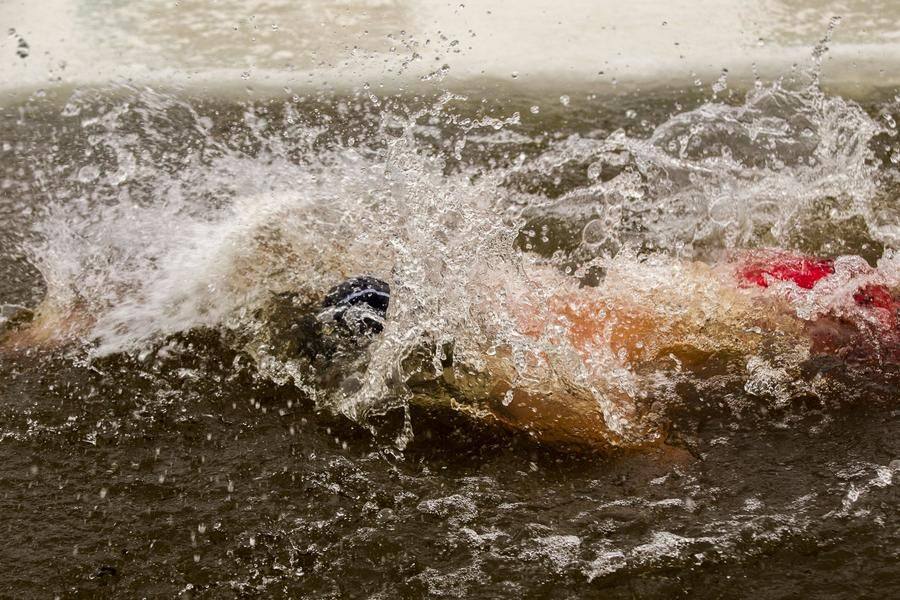 Some swimmers are too fast to even remember their faces