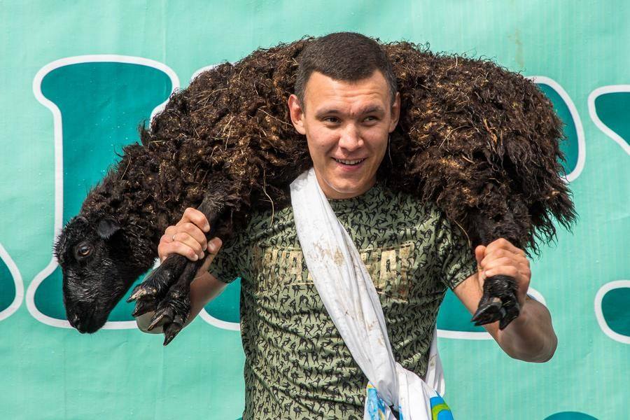 By tradition, the chief strongman took a lap of honour around the stage with his prize ram