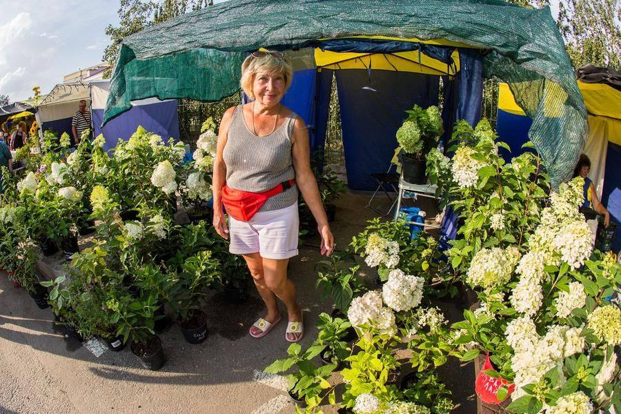Charming vendors share their secrets and help you make the right choice