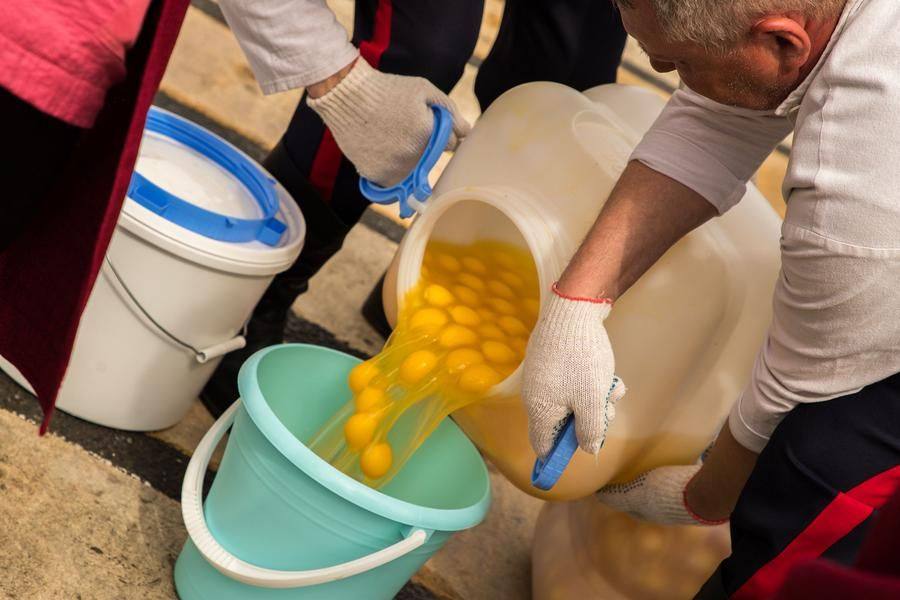 The Cossacks will prepare an incredible scrambled egg dish using a thousand eggs!