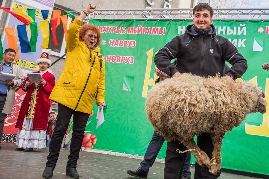 In addition to fame, the absolute winner traditionally is gifted a live ram!