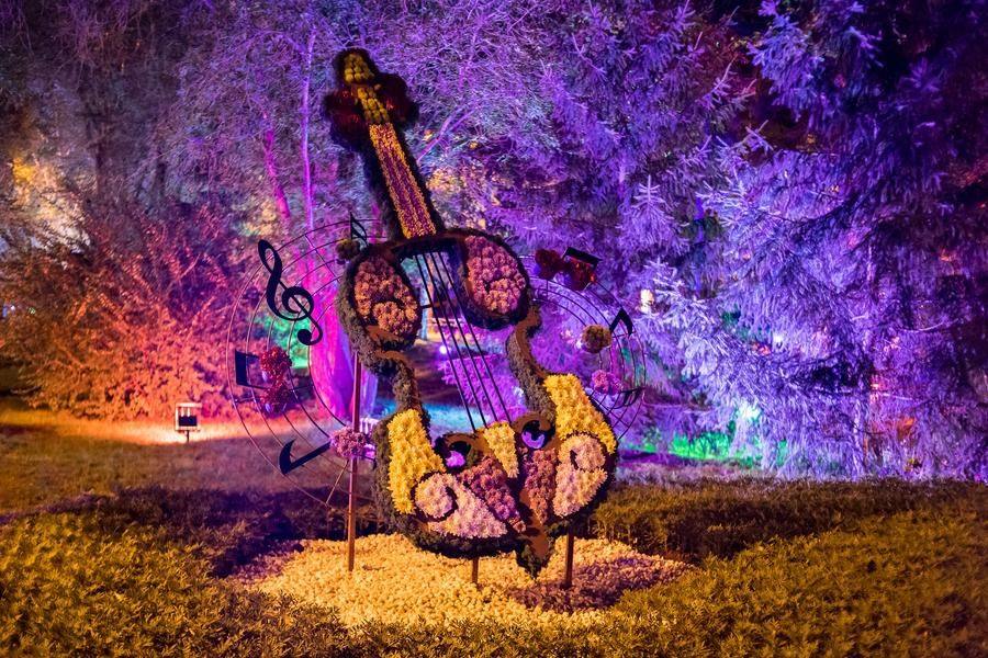 The night “Flora” deserves special attention