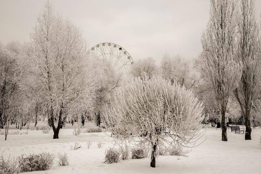 …or the admiration for the human spirit that conquers ice and cold?