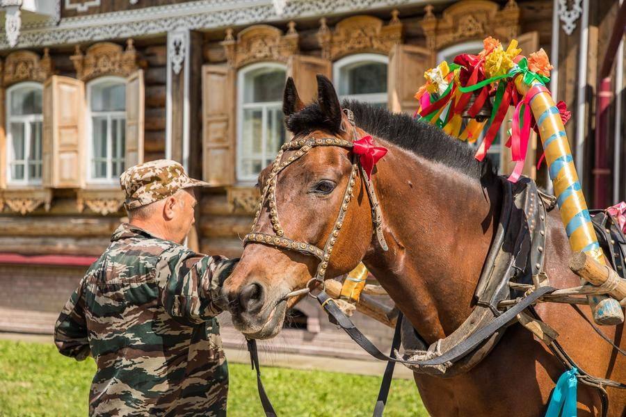 The ornate horse harness tells us that a lively Siberian wedding is ahead!