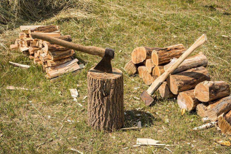 For example, you can hone a useful skill like chopping firewood