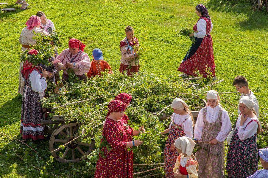 The festival has plenty of birch trees stocked up