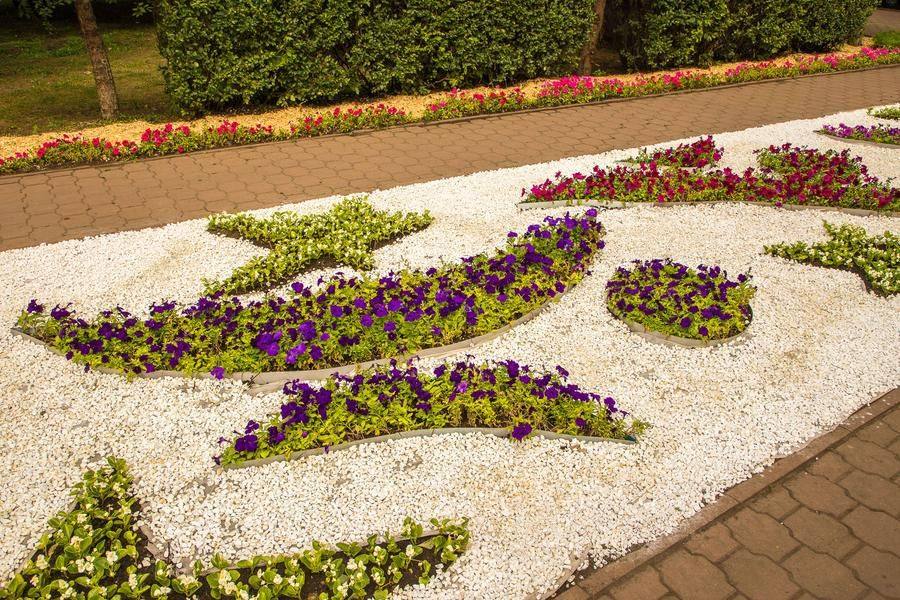 Even the ordinary “flat” flowerbeds of the public garden have been lovingly refreshed for the Omsk Day Celebration