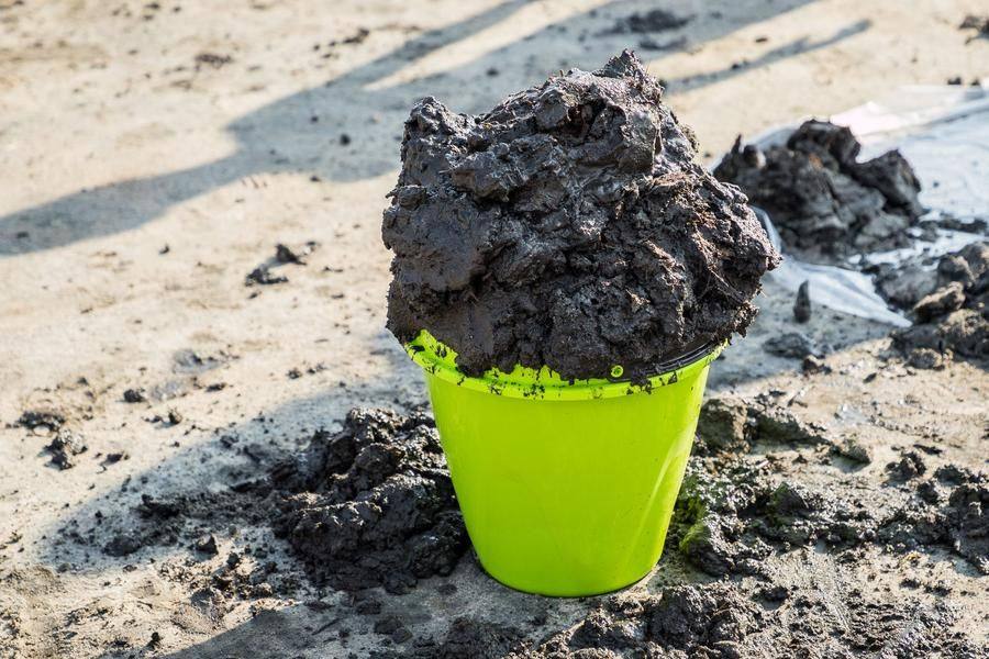 That’s how the fifth Mud Festival unfolded: creative, lively, and full of variety