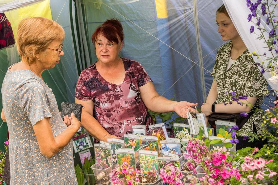 Along the way, you can also stop by the seed, seedling, and sapling fair