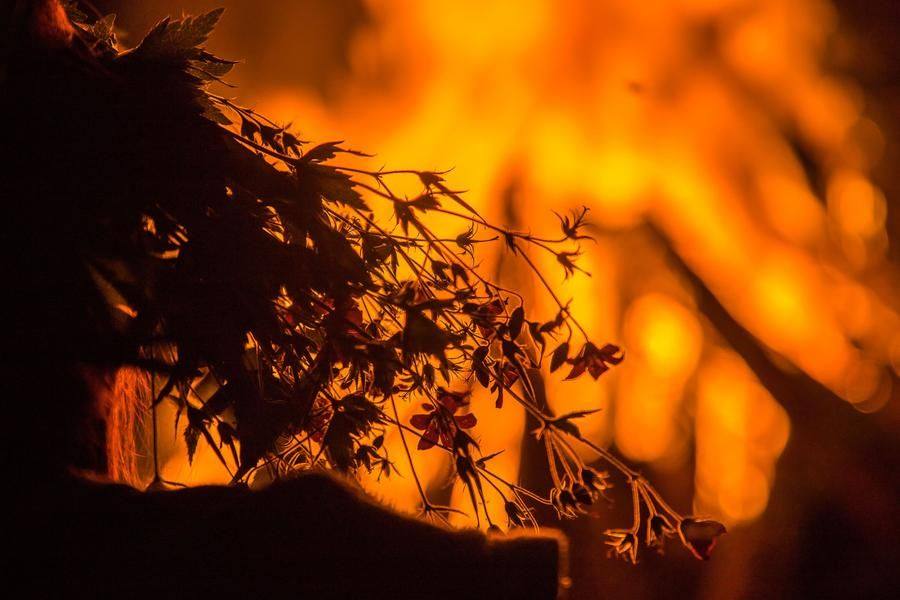 Guests watch the flames for a long time…