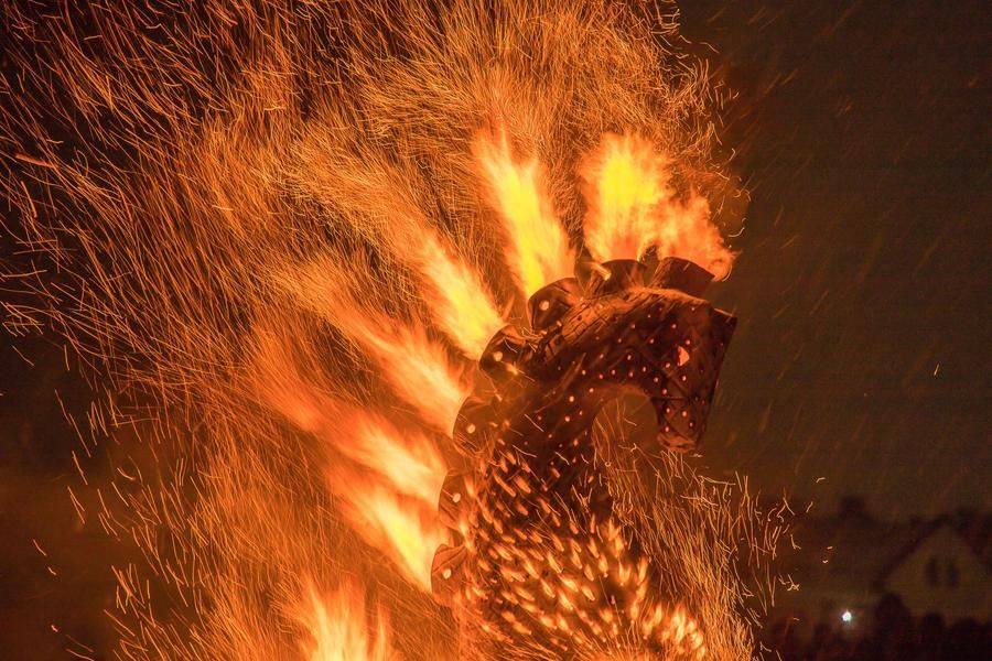 …and it’s bright fiery mane is just as attractive