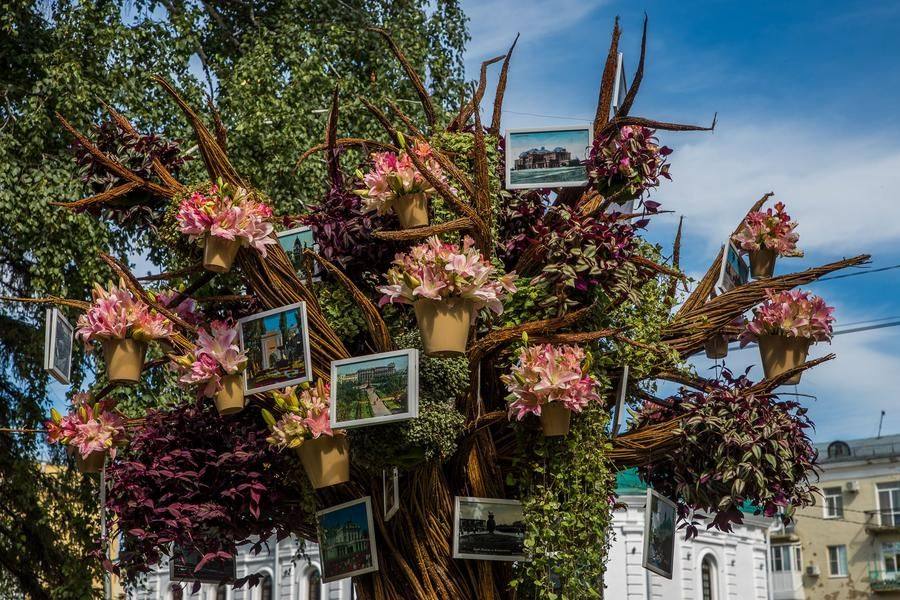The “Family Tree” art object is decorated with photos of Omsk taken by different generations