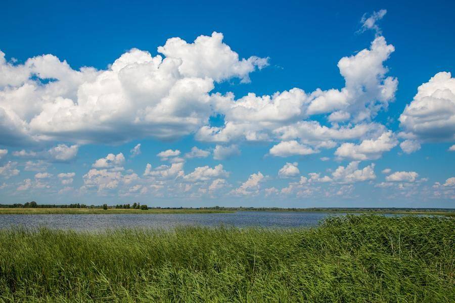 Staritsa Lake will witness festive events more than once again