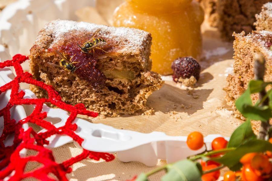 If the wasps have taken a liking to the sweet treat, people will definitely enjoy it!