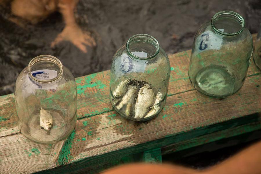 Each contestant is assigned a numbered jar
