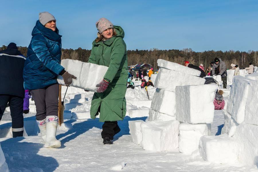 Let’s watch how the labor is divided: some carry the “building materials”…