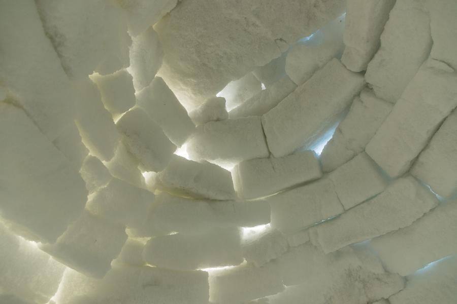 Who else can commend the bright yet sturdy dome?