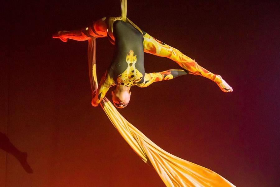 The most breathtaking moments happen several meters above the ground