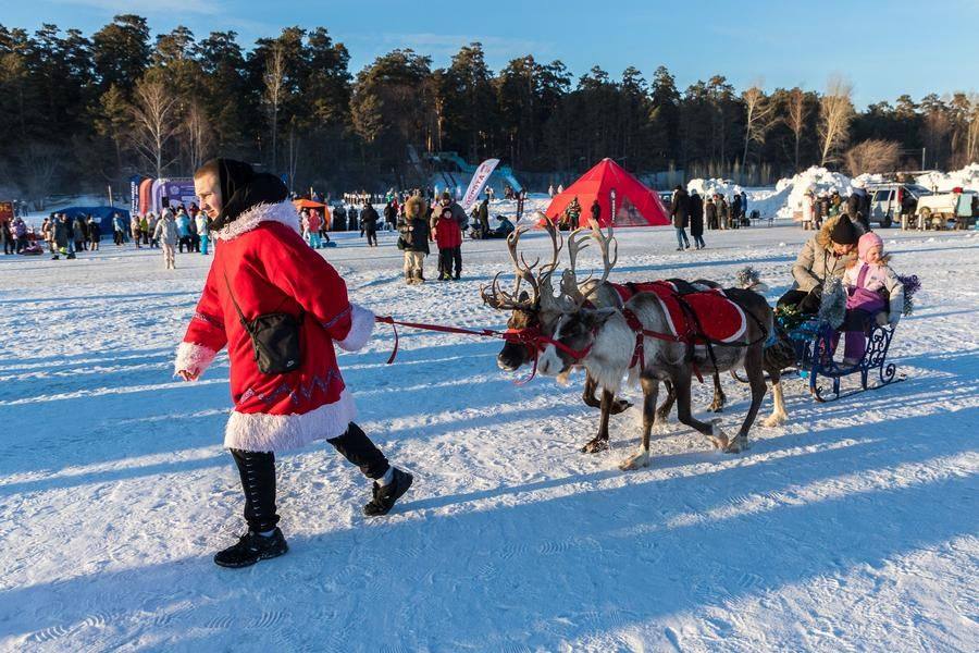 While listening to the songs, visitors can meet the animals of the Far North right on the square