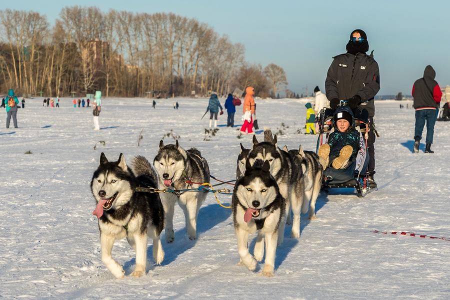 …and they’re happy to give rides to everyone who wants one