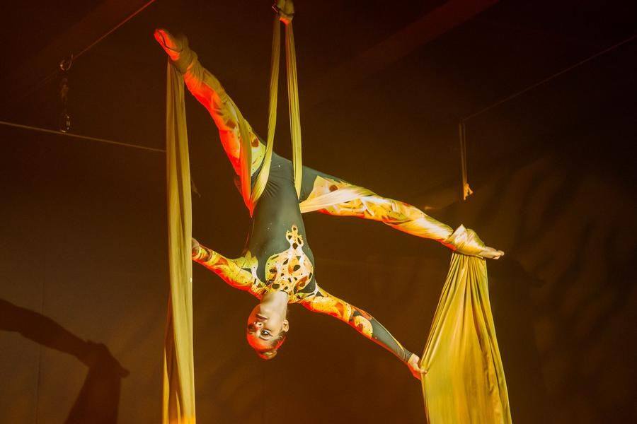 Aerial silks are rightfully considered the most spectacular apparatus in aerial gymnastics