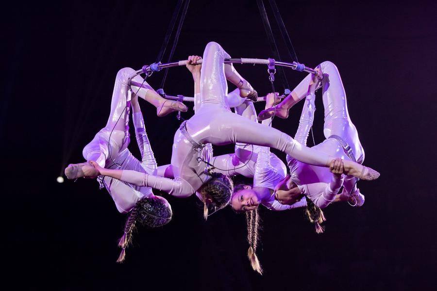 Next, the audience’s gaze lifts to the circus dome