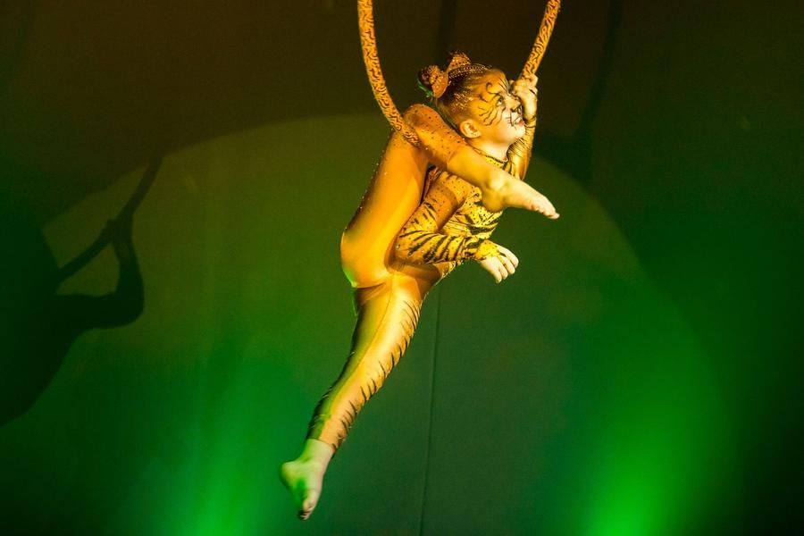 The ring act was created by “Gravity” studio from Novosibirsk