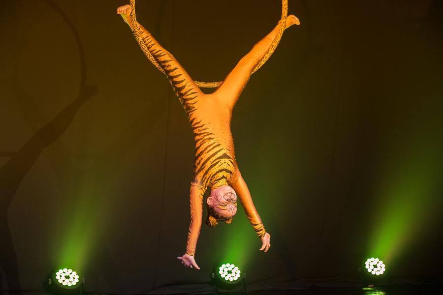 Skill, charm, and fearlessness — this girl has it all in abundance