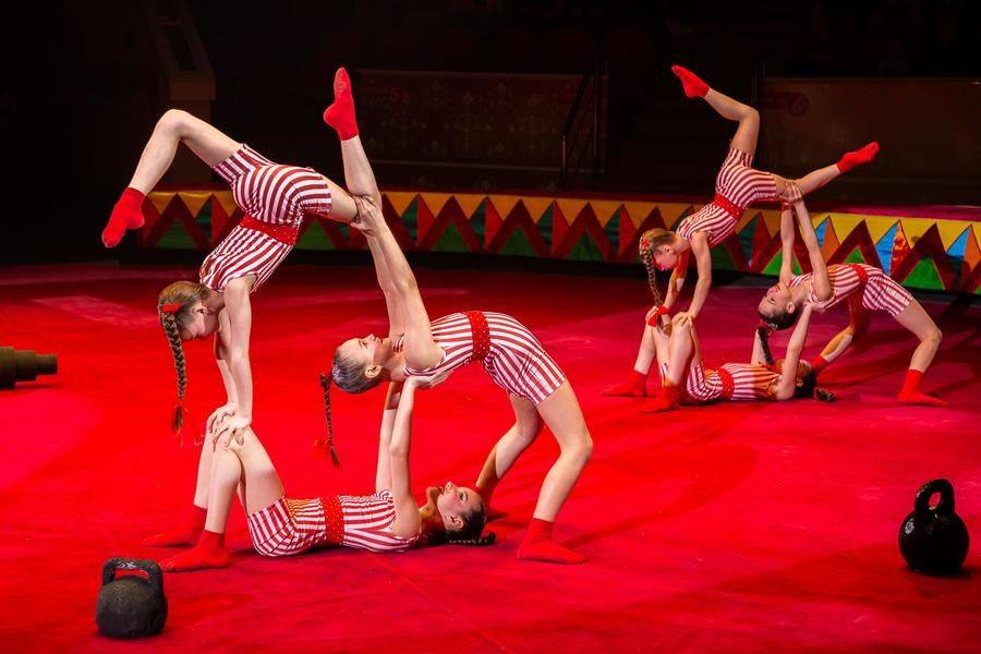 A journey back in time through the history of world sports comes to us from Krasnoyarsk’s “Circus Time” studio