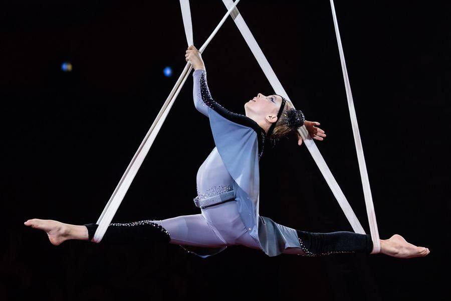 She trains at the “Aerial Project” circus arts center
