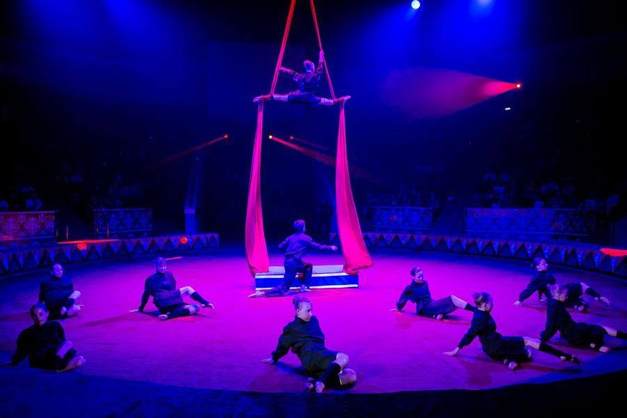 The directors of the Omsk “Likodemia” circus studio chose a challenging theme