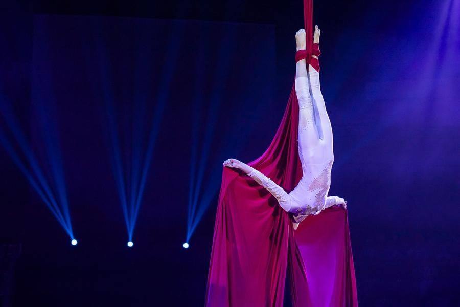 With aerial gymnastics, one can express the most tragic emotions…
