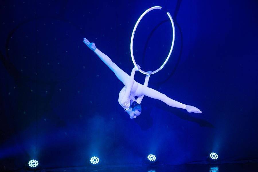 The ring makes a wide range of spectacular gymnastic sequences possible