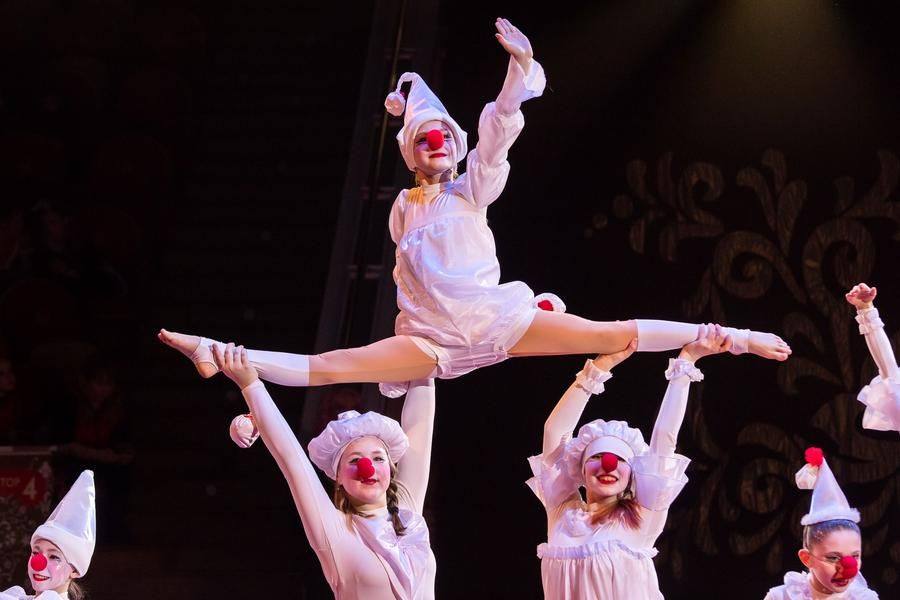 “Kras Circus” from Krasnoyarsk knows how to amaze — and they do it with joy